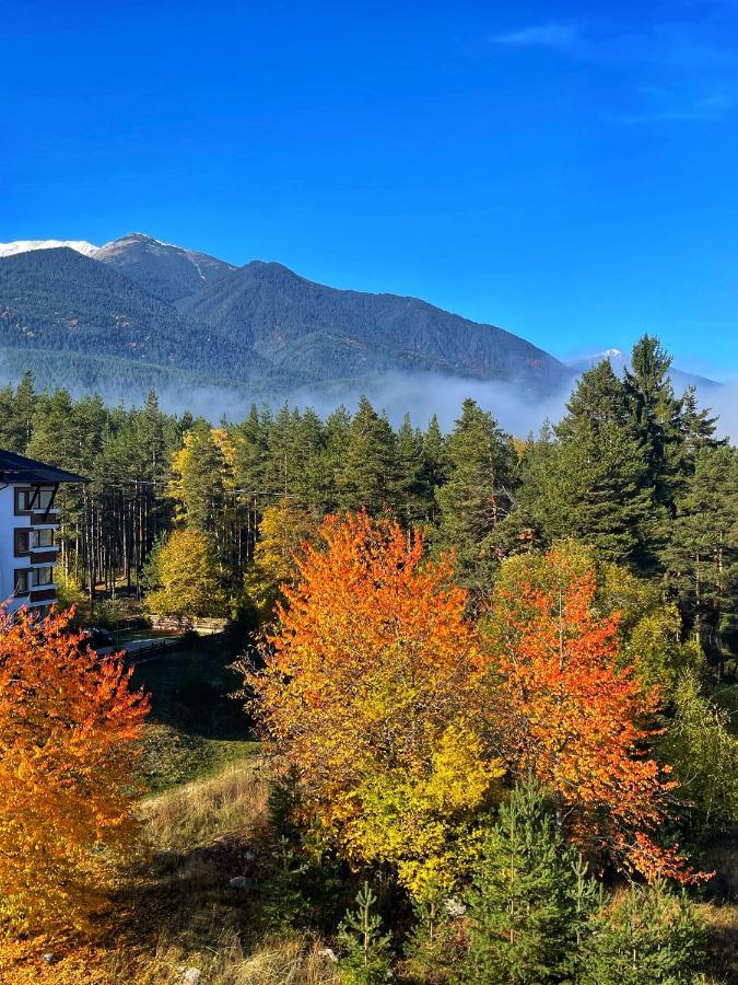 Park Hotel Panorama Bansko Dış mekan fotoğraf